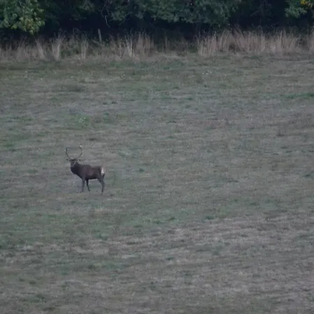 La Ferme De Sapharey 3* Sarrazac (Dordogne)