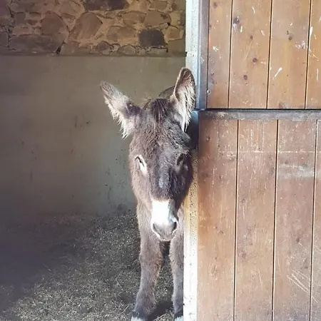 La Ferme De Sapharey ベッド・アンド・ブレックファスト
