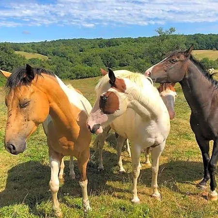 La Ferme De Sapharey 3* Sarrazac (Dordogne)