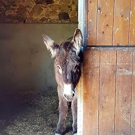 La Ferme De Sapharey