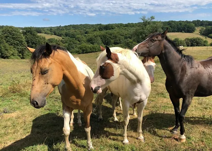 Bed & Breakfast La Ferme De Sapharey Sarrazac (Dordogne)