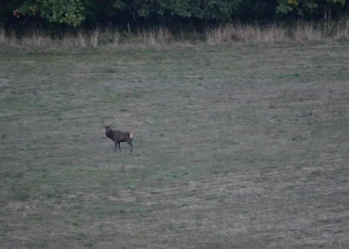 La Ferme De Sapharey 3* Sarrazac (Dordogne)