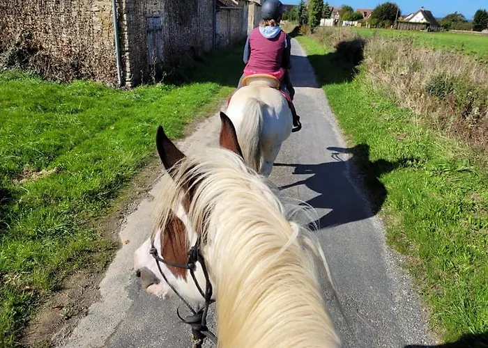 La Ferme De Sapharey Sarrazac (Dordogne)